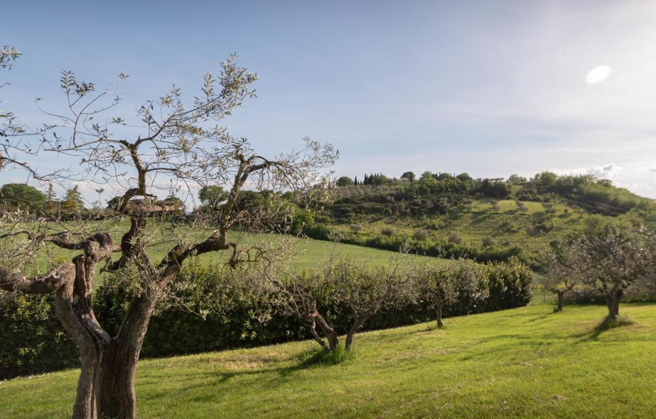Residenza Il Falchetto Assisi Buitenkant foto