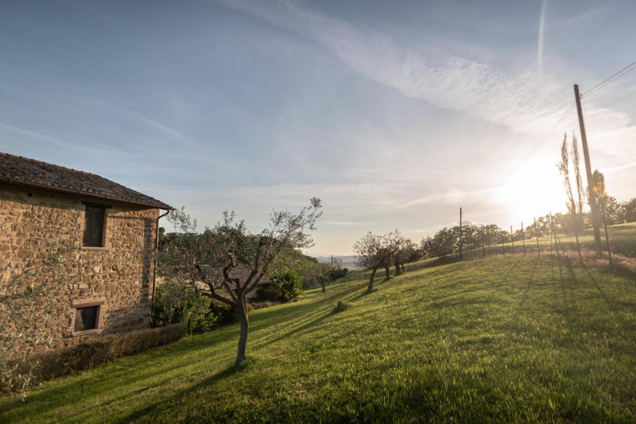 Residenza Il Falchetto Assisi Buitenkant foto