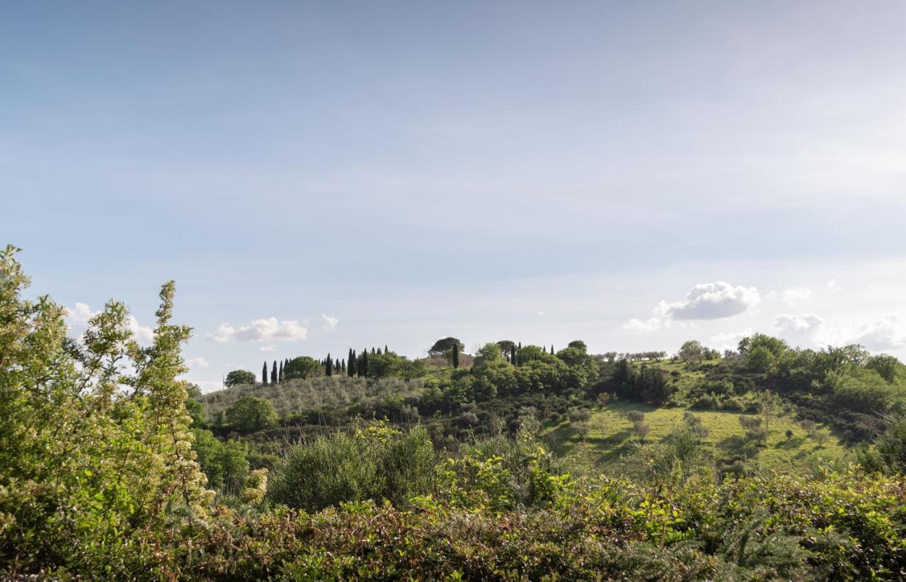 Residenza Il Falchetto Assisi Buitenkant foto